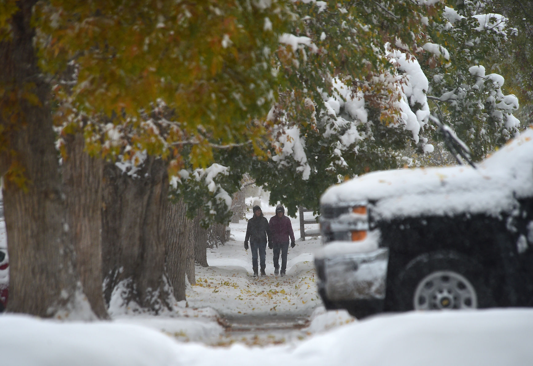 Billings snow scenes
